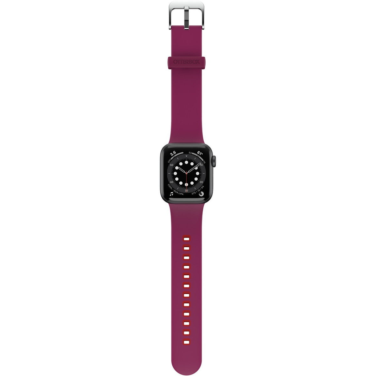 AppleWatchバンド (42/41/40/38mm) パルスチェック