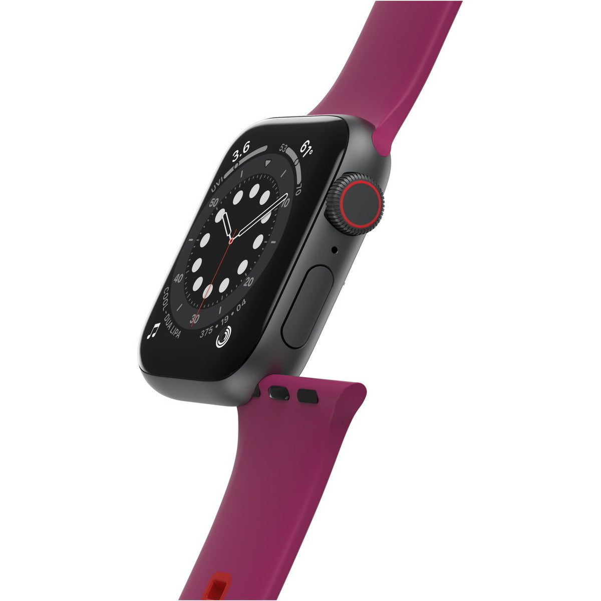 AppleWatchバンド (42/41/40/38mm) パルスチェック