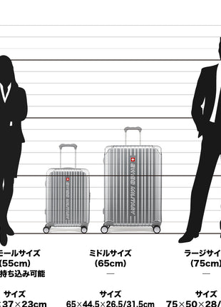 スーツケース Mサイズ 4～6泊 65cm CYGNUS(シグナス) シャンパンゴールド
