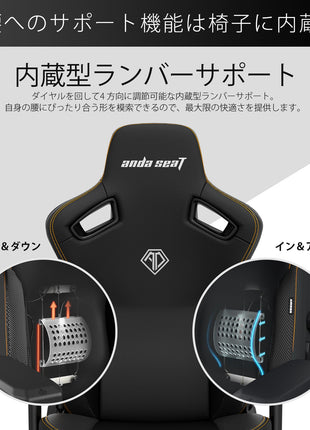 ゲーミングチェア Andaseat Kaiser 3 エレガントブラック 黒 椅子 アンダシート カイザー3