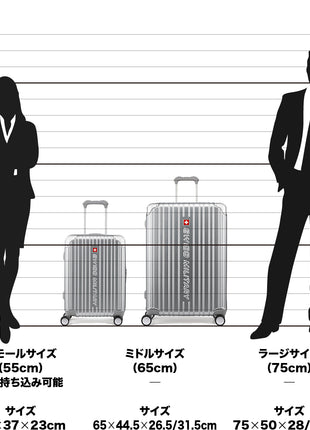 スーツケース Mサイズ 4～6泊 65cm CYGNUS(シグナス) メタリックシルバー